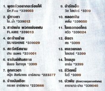 ติดดิน ฮิตระเบิด - ฮิตสุด โดนสุด คุ้มสุด-web22